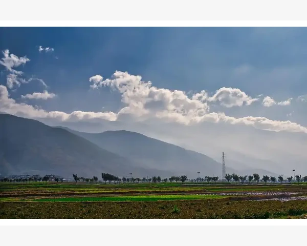 脾胃虚弱儿童适宜吃炼乳吗？深度解析与建议